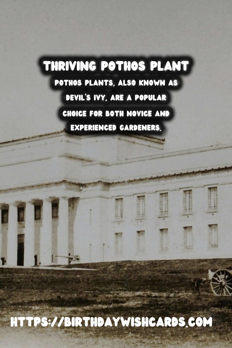 Caring for Pothos Plants: Low Maintenance & Versatile