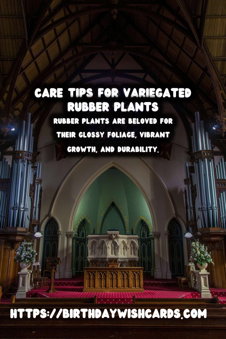 Caring for Rubber Plants: Variegated Varieties