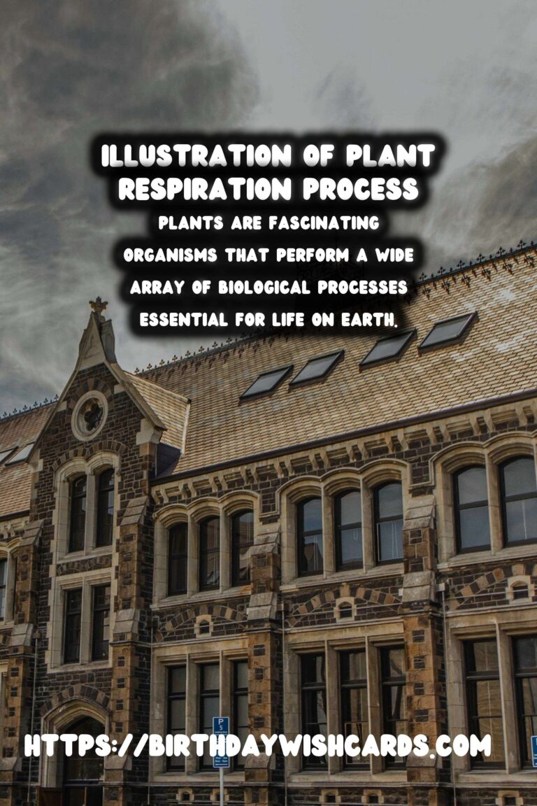 Understanding Plant Respiration: Simplified
