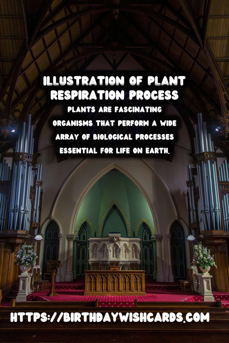 Understanding Plant Respiration: Simplified