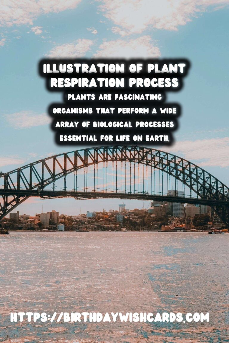 Understanding Plant Respiration: Simplified
