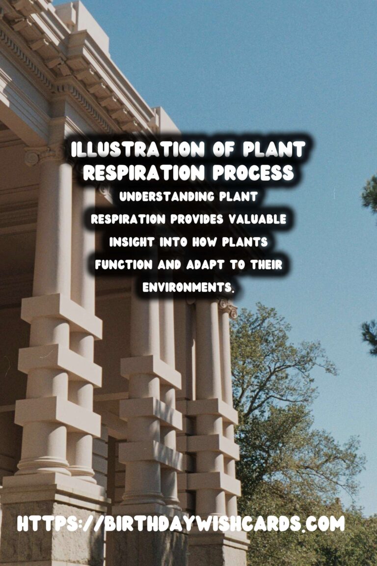 Understanding Plant Respiration: Simplified