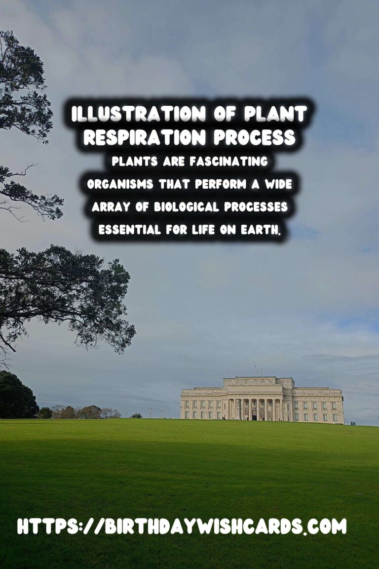 Understanding Plant Respiration: Simplified