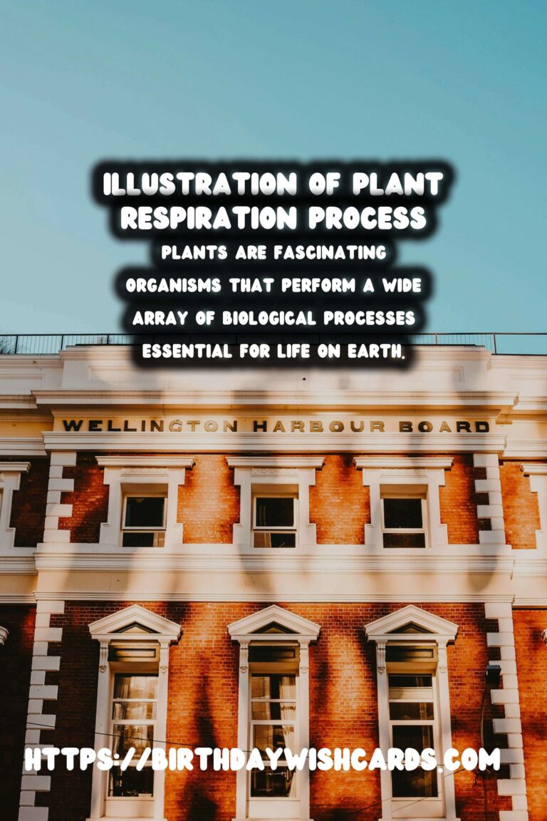 Understanding Plant Respiration: Simplified