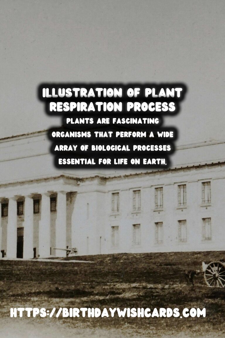 Understanding Plant Respiration: Simplified