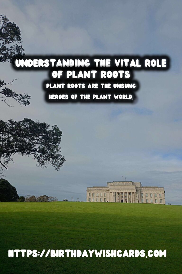 Understanding Plant Roots: Their Importance