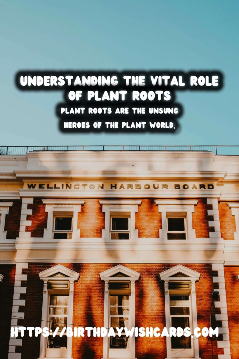 Understanding Plant Roots: Their Importance