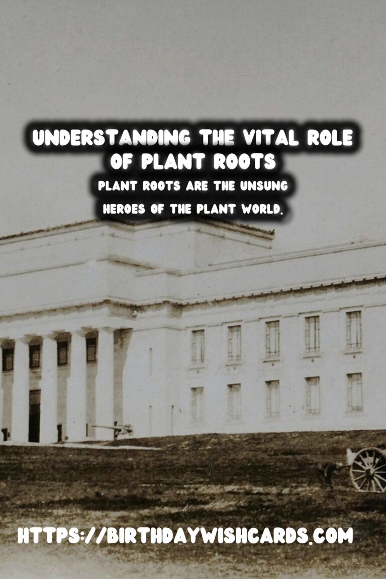 Understanding Plant Roots: Their Importance