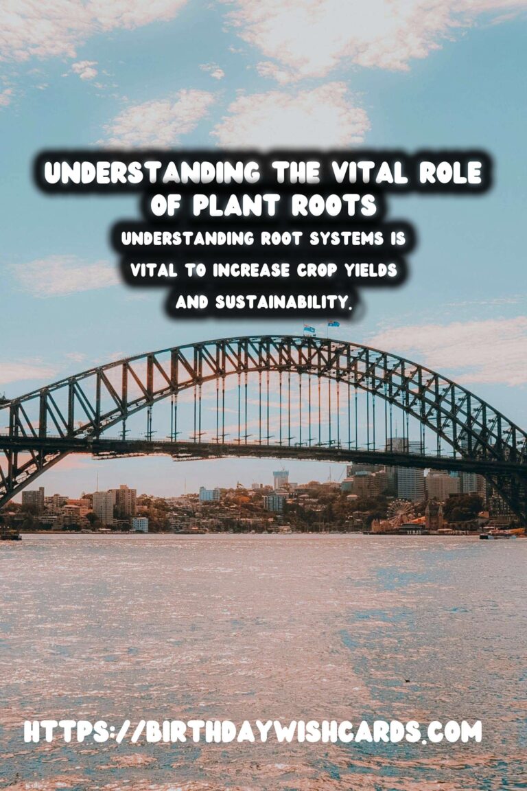 Understanding Plant Roots: Their Importance