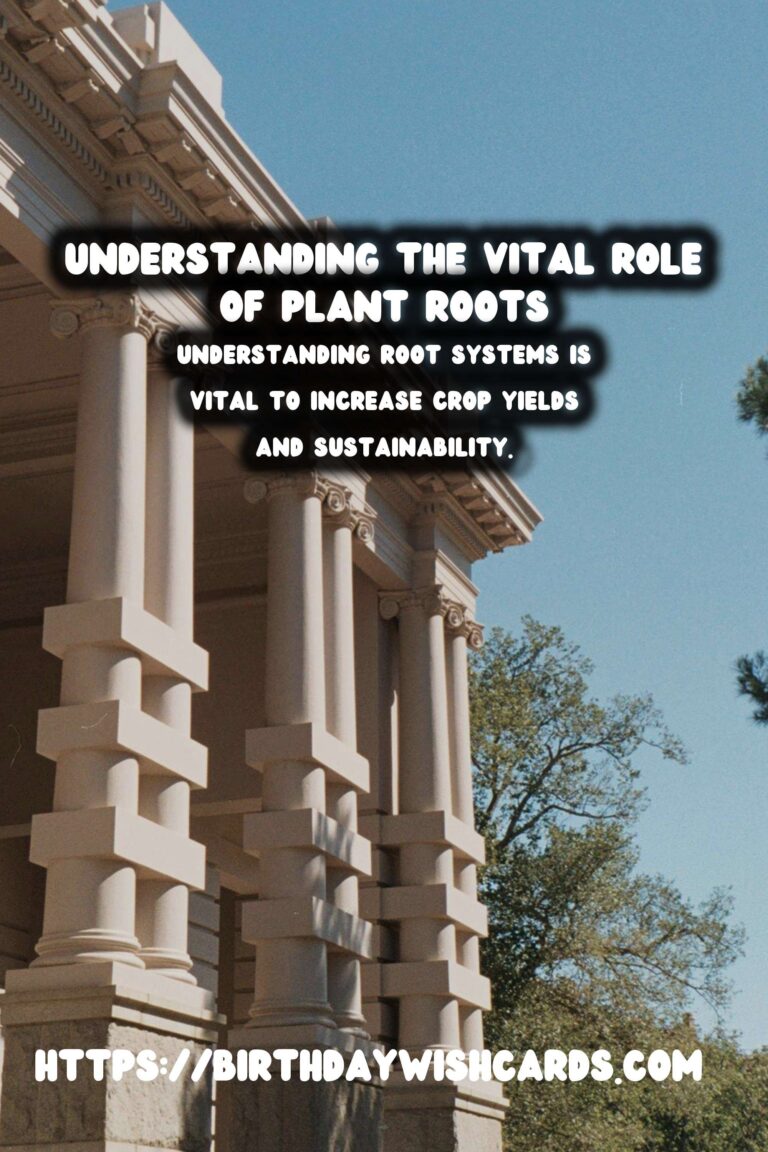 Understanding Plant Roots: Their Importance