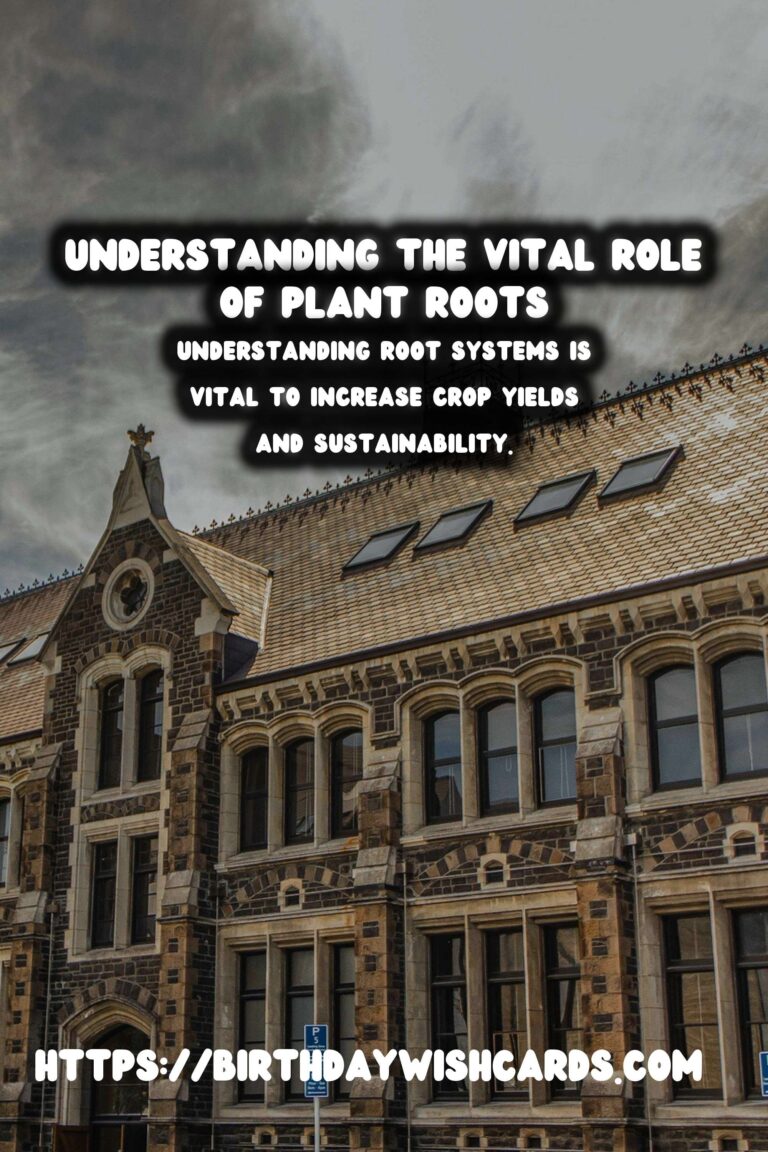 Understanding Plant Roots: Their Importance