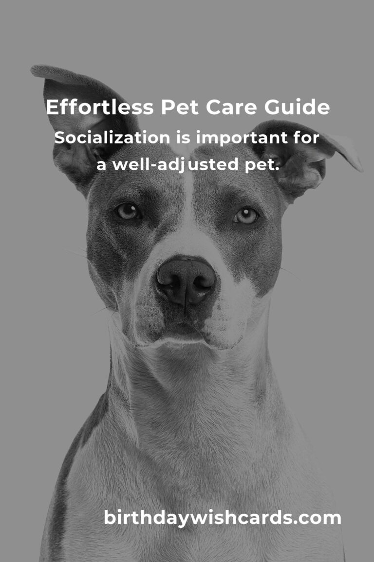 Beginner’s Guide to Effortless Pet Care