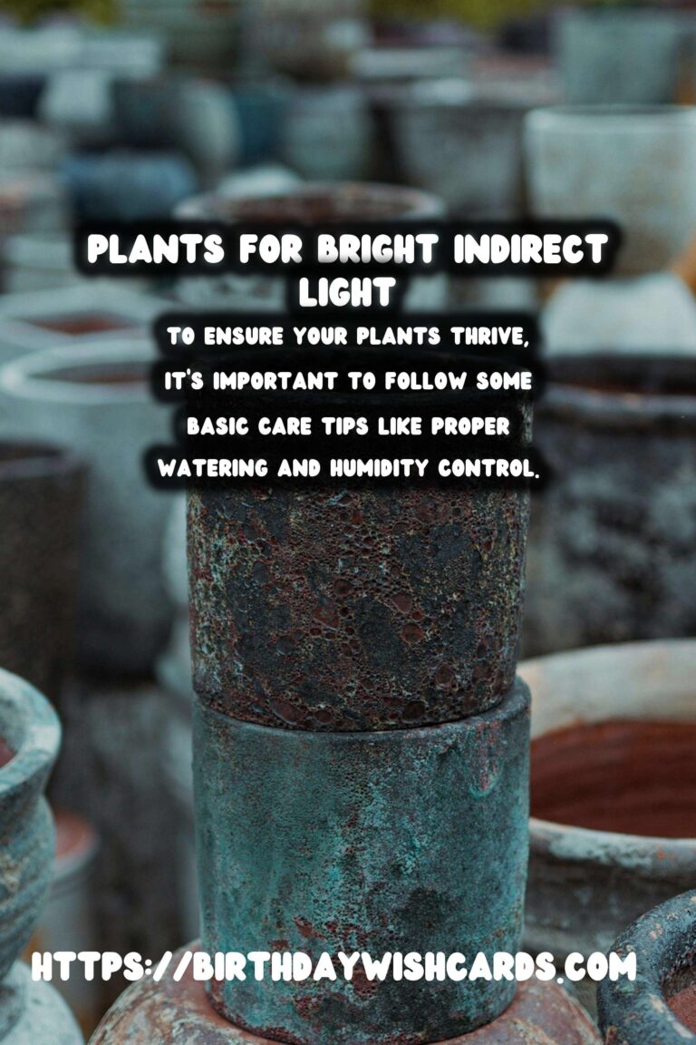 Best Plants for Bright Indirect Light Bedrooms: A Comprehensive Guide