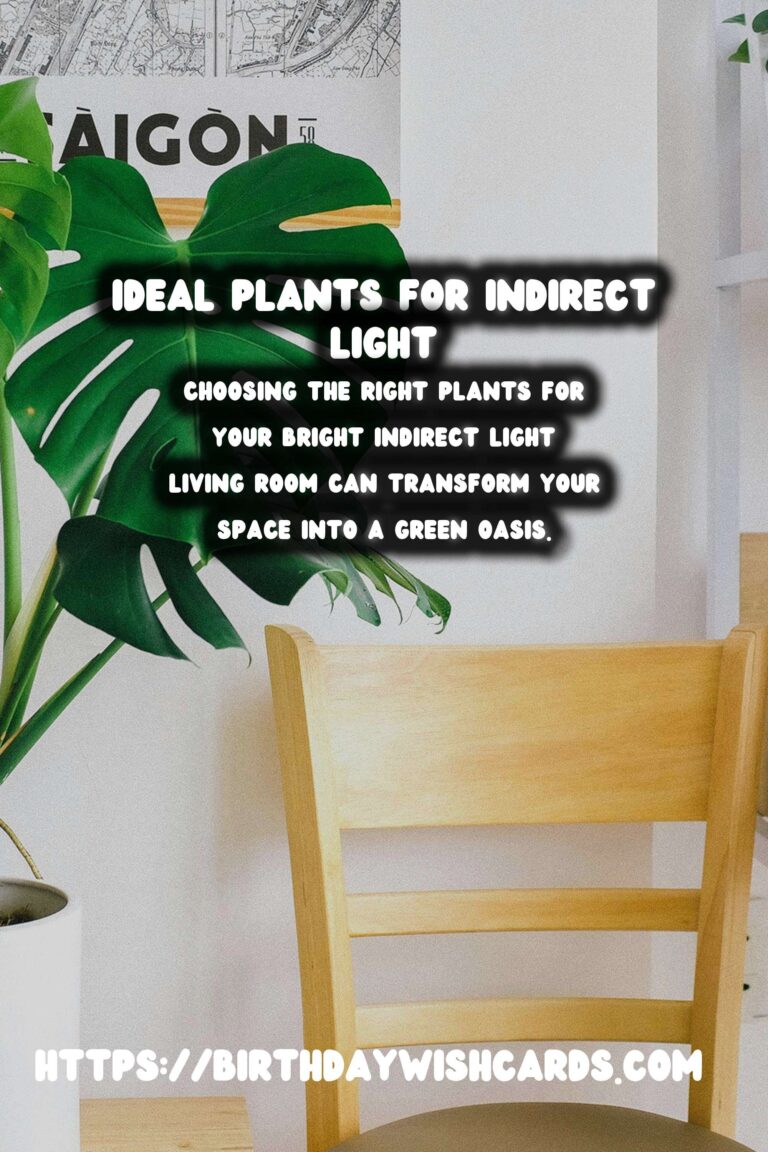 Best Plants for Bright Indirect Light Living Rooms