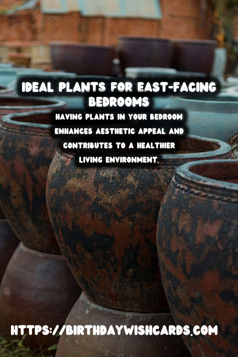Best Plants for East-Facing Bedrooms: Enhance Your Space with Greenery