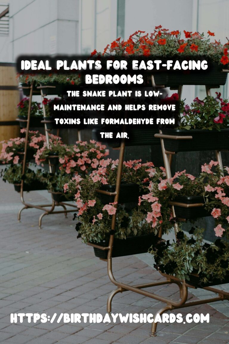 Best Plants for East-Facing Bedrooms: Enhance Your Space with Greenery