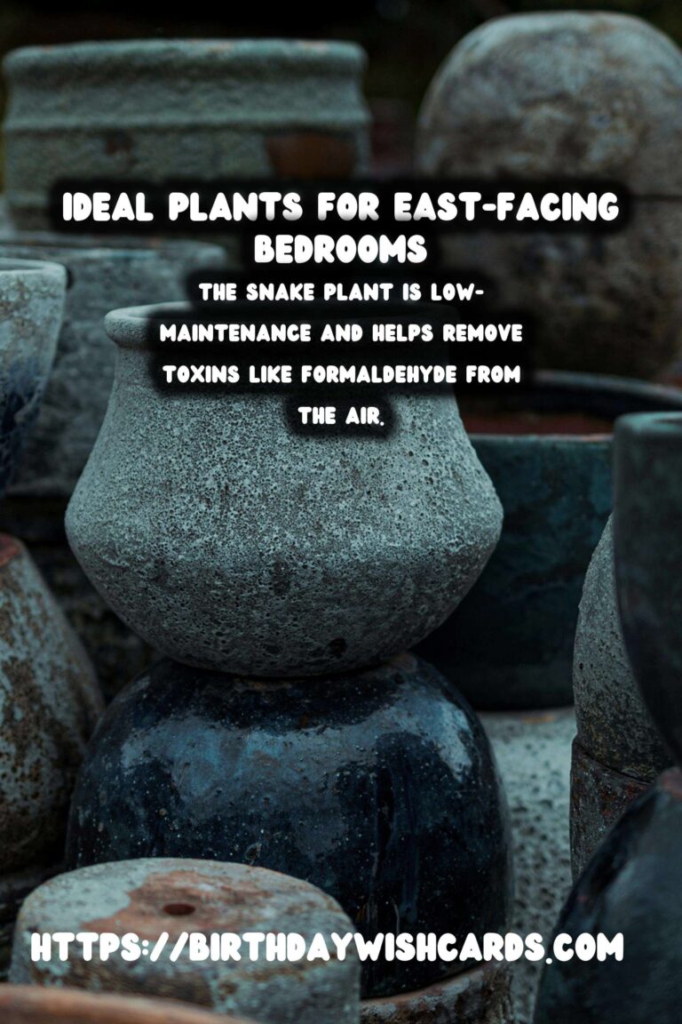 Best Plants for East-Facing Bedrooms: Enhance Your Space with Greenery
