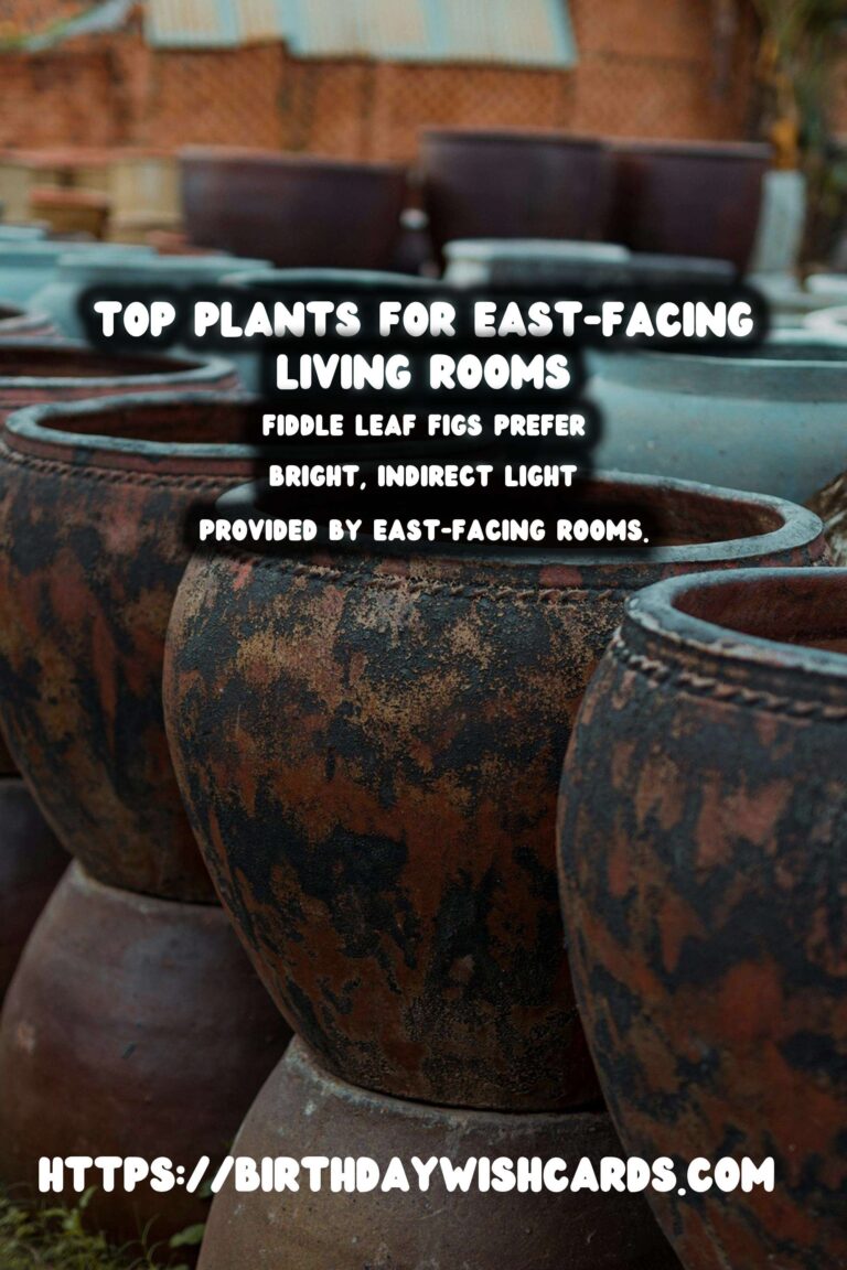 Best Plants for East-Facing Living Rooms to Enhance Your Space
