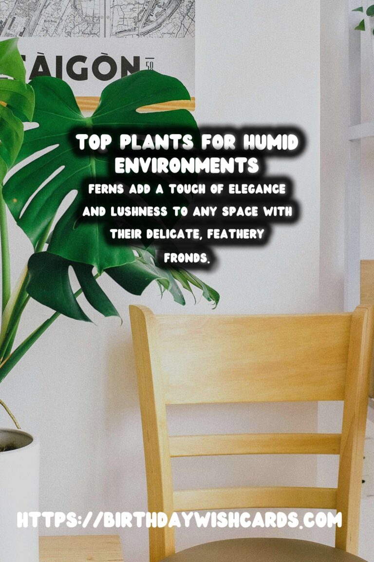 Best Plants for High Humidity Environments