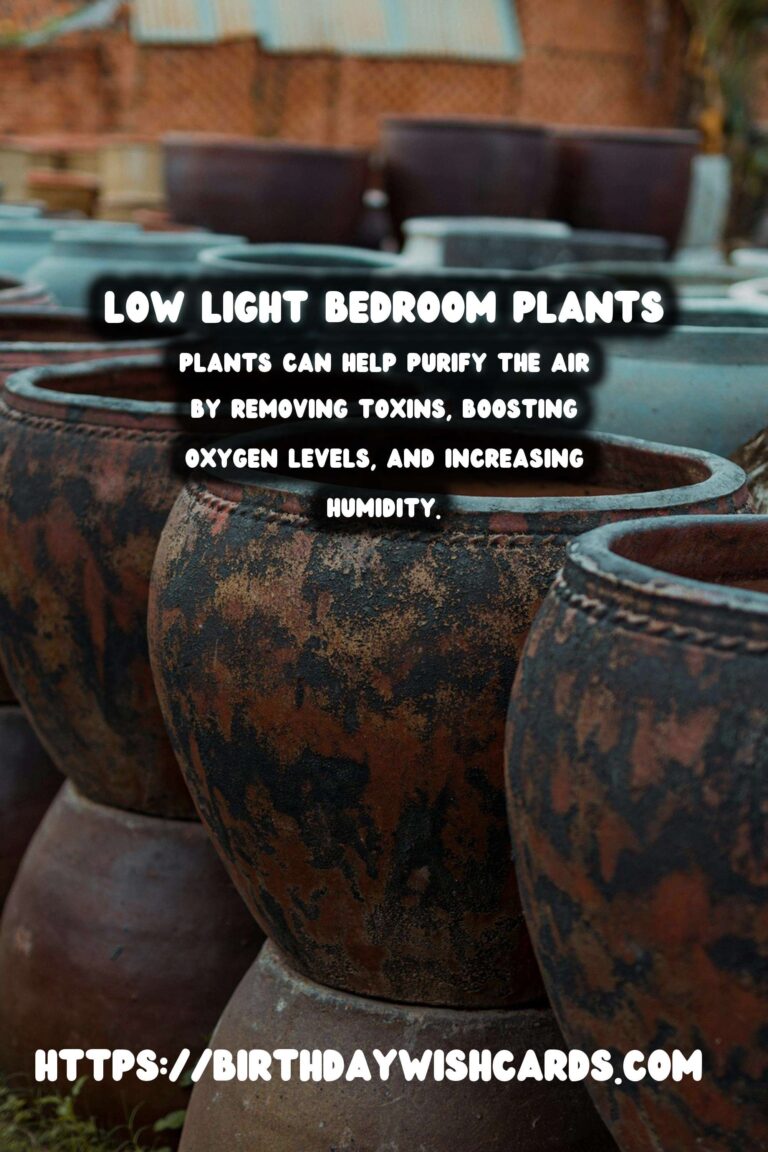 Best Plants for Low Indirect Light Bedrooms: Transform Your Space