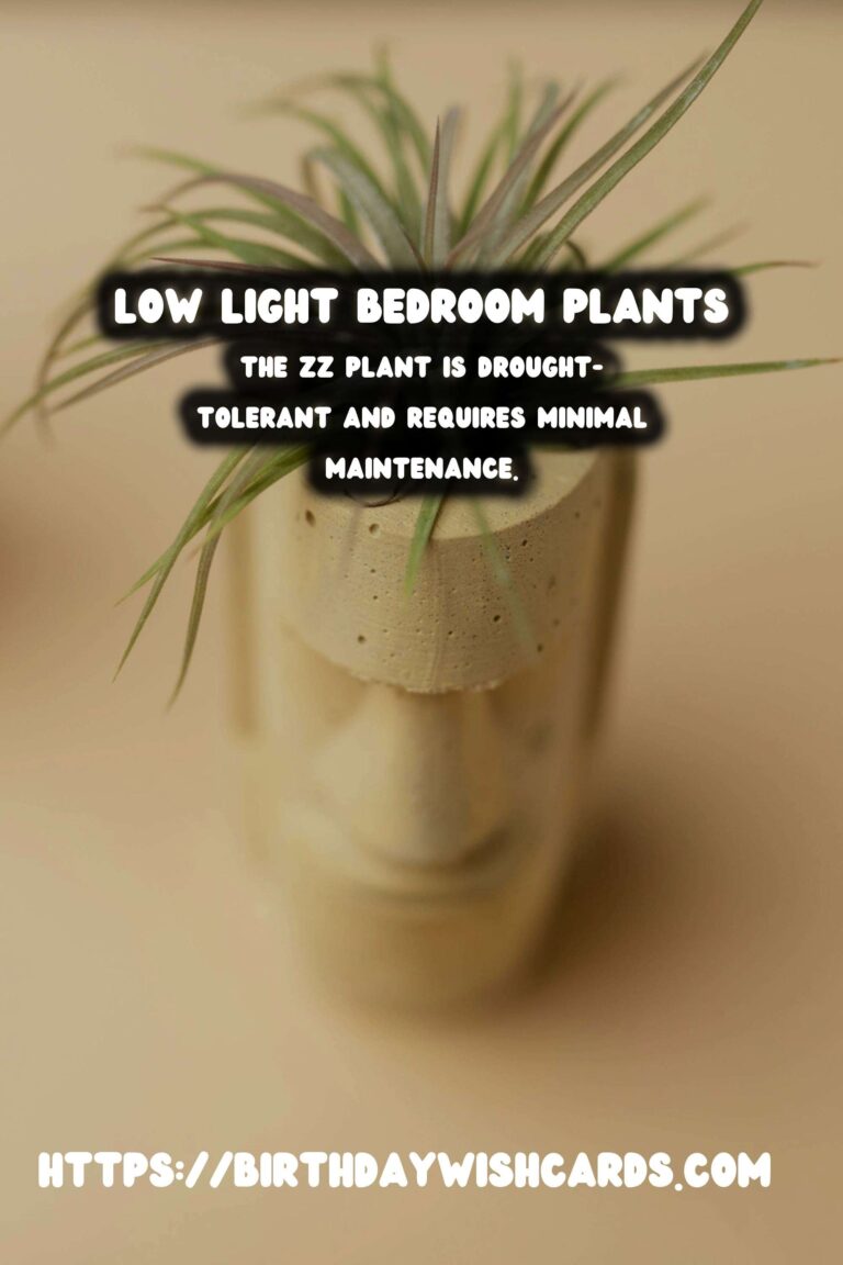 Best Plants for Low Indirect Light Bedrooms: Transform Your Space