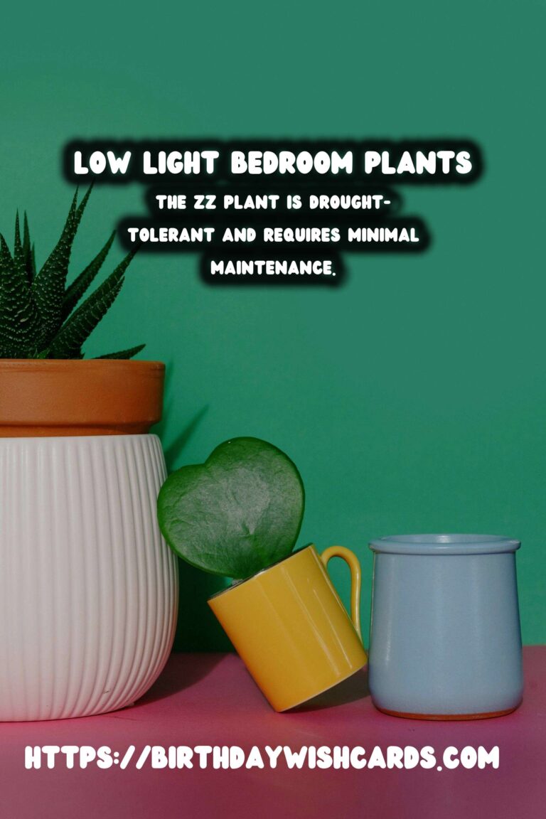Best Plants for Low Indirect Light Bedrooms: Transform Your Space