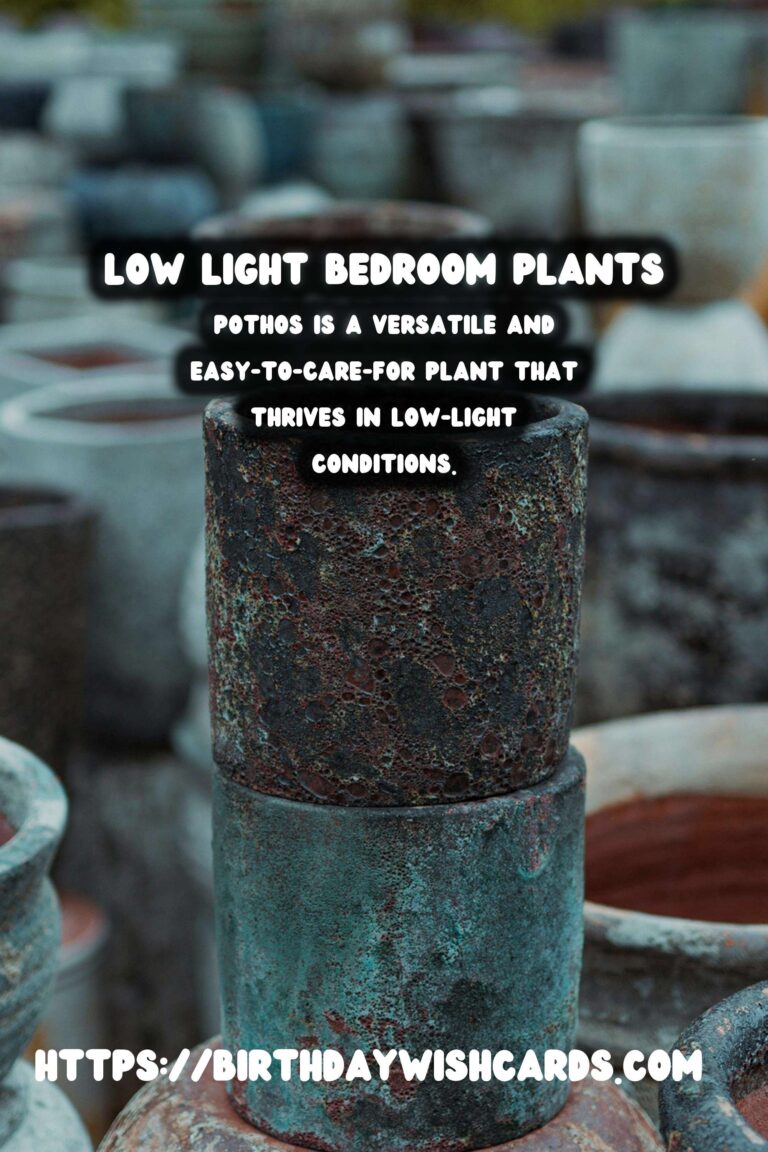 Best Plants for Low Indirect Light Bedrooms: Transform Your Space