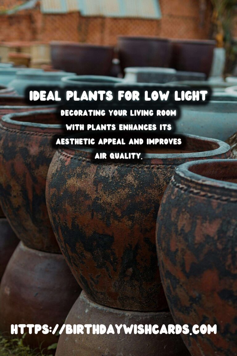 Best Plants for Low Indirect Light Living Rooms