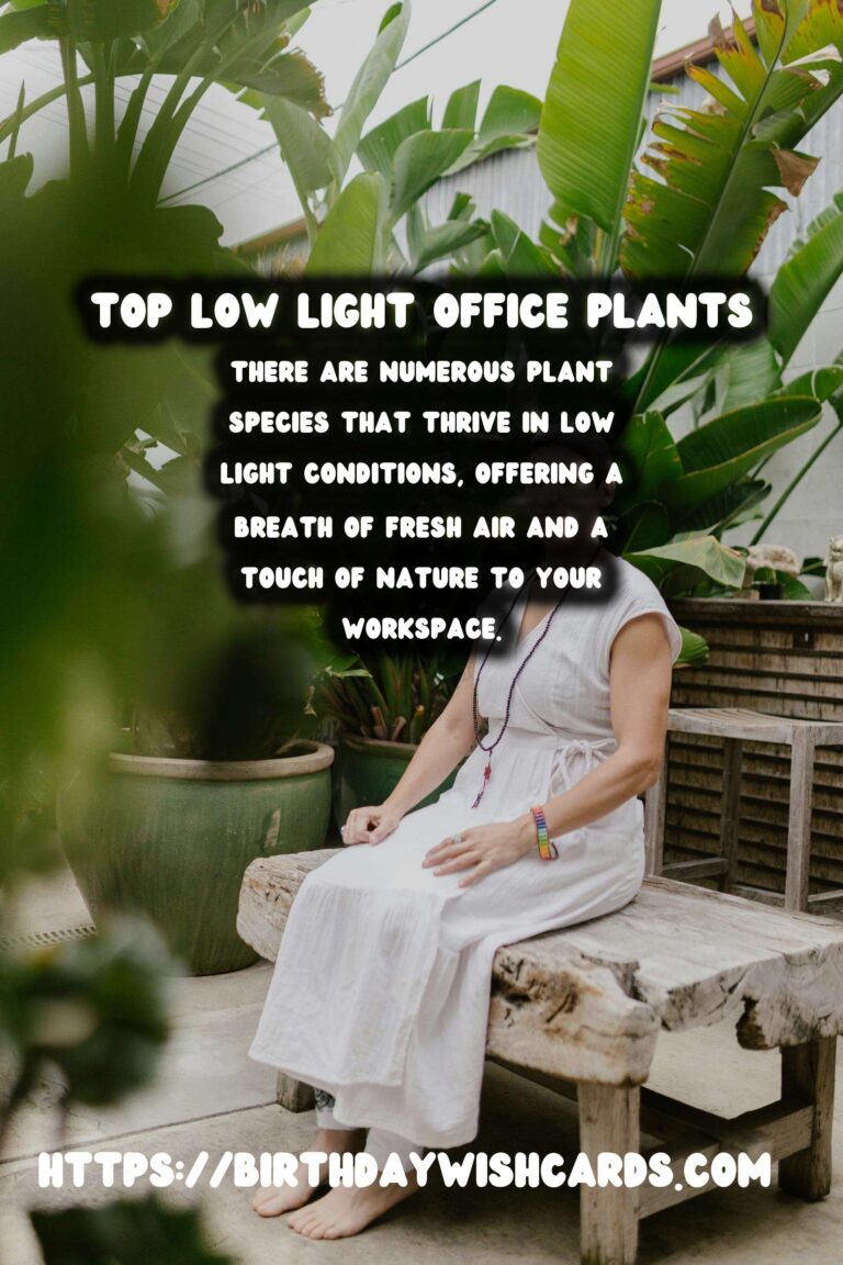 Best Plants for Low Light Offices: Enhance Your Workspace with Greenery