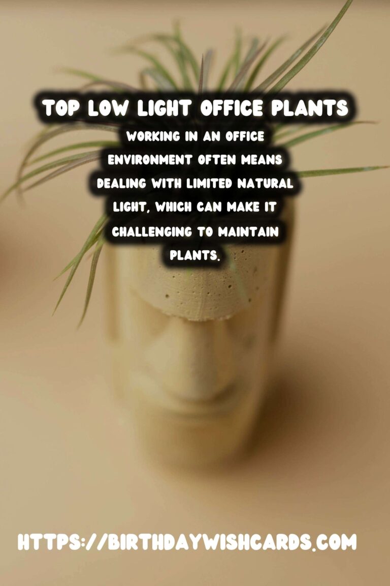 Best Plants for Low Light Offices: Enhance Your Workspace with Greenery