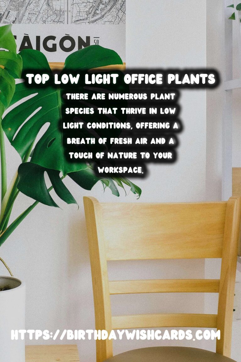 Best Plants for Low Light Offices: Enhance Your Workspace with Greenery