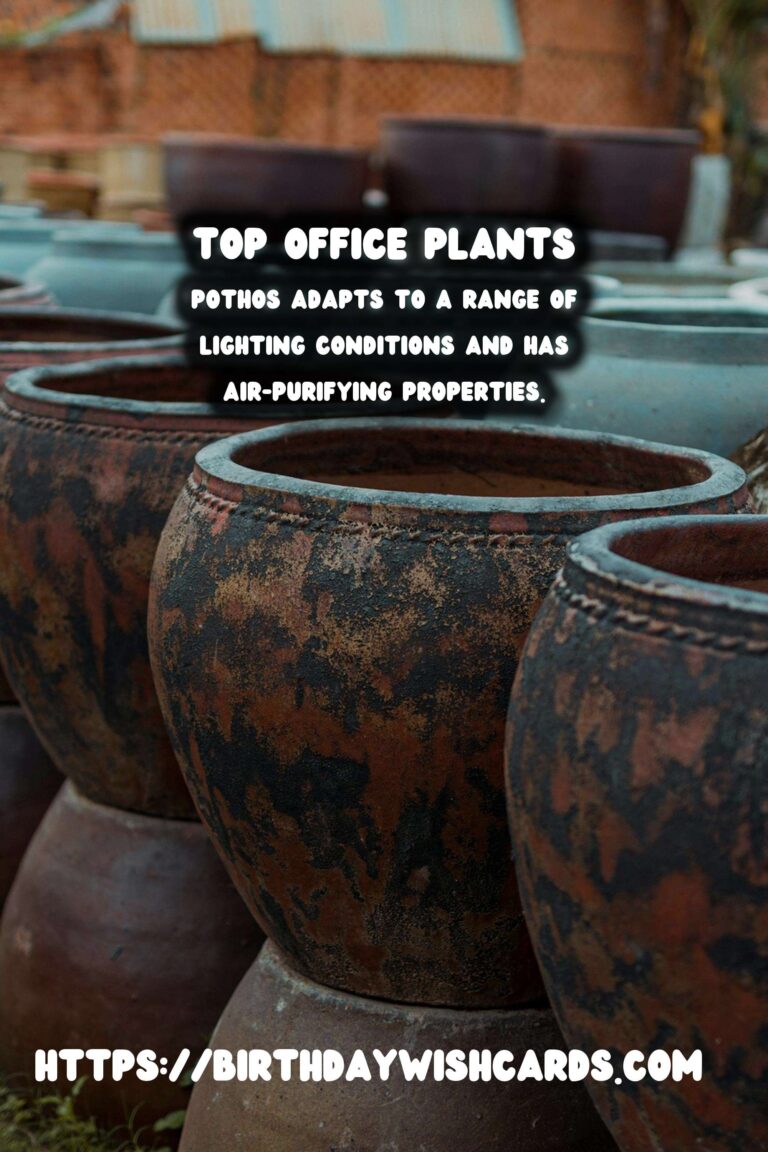 Best Plants for Low Light Offices: Transform Your Workspace