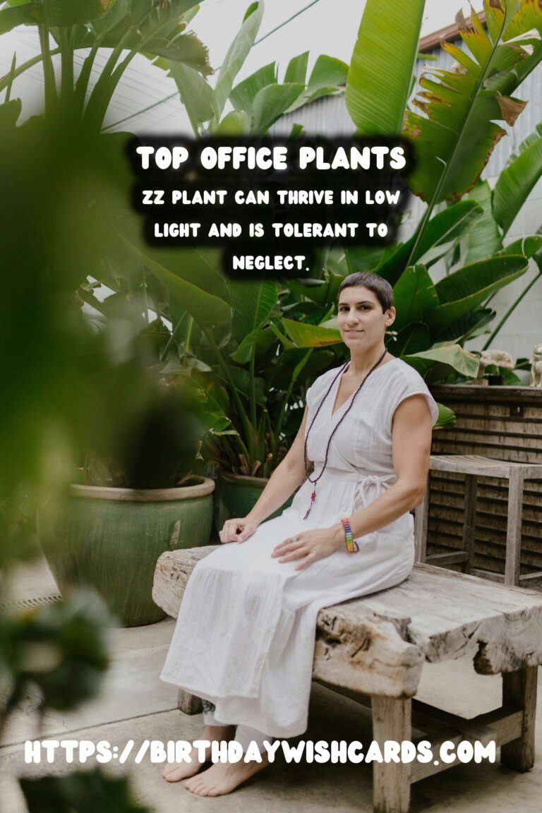Best Plants for Low Light Offices: Transform Your Workspace