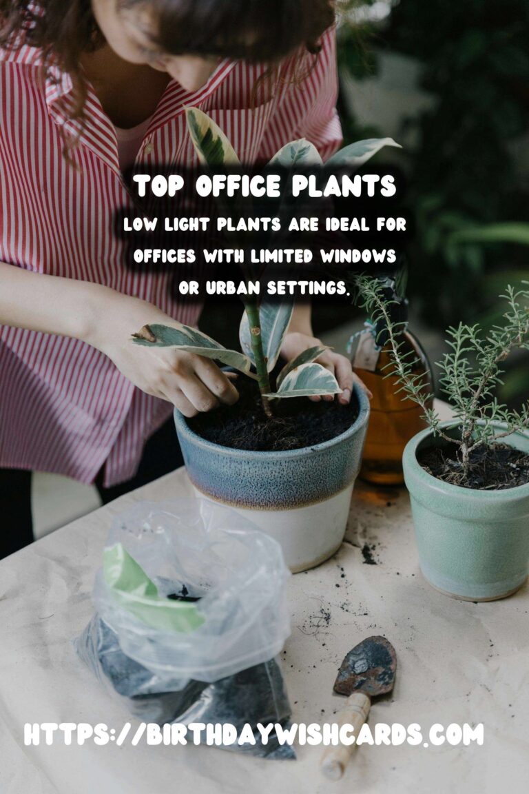 Best Plants for Low Light Offices: Transform Your Workspace