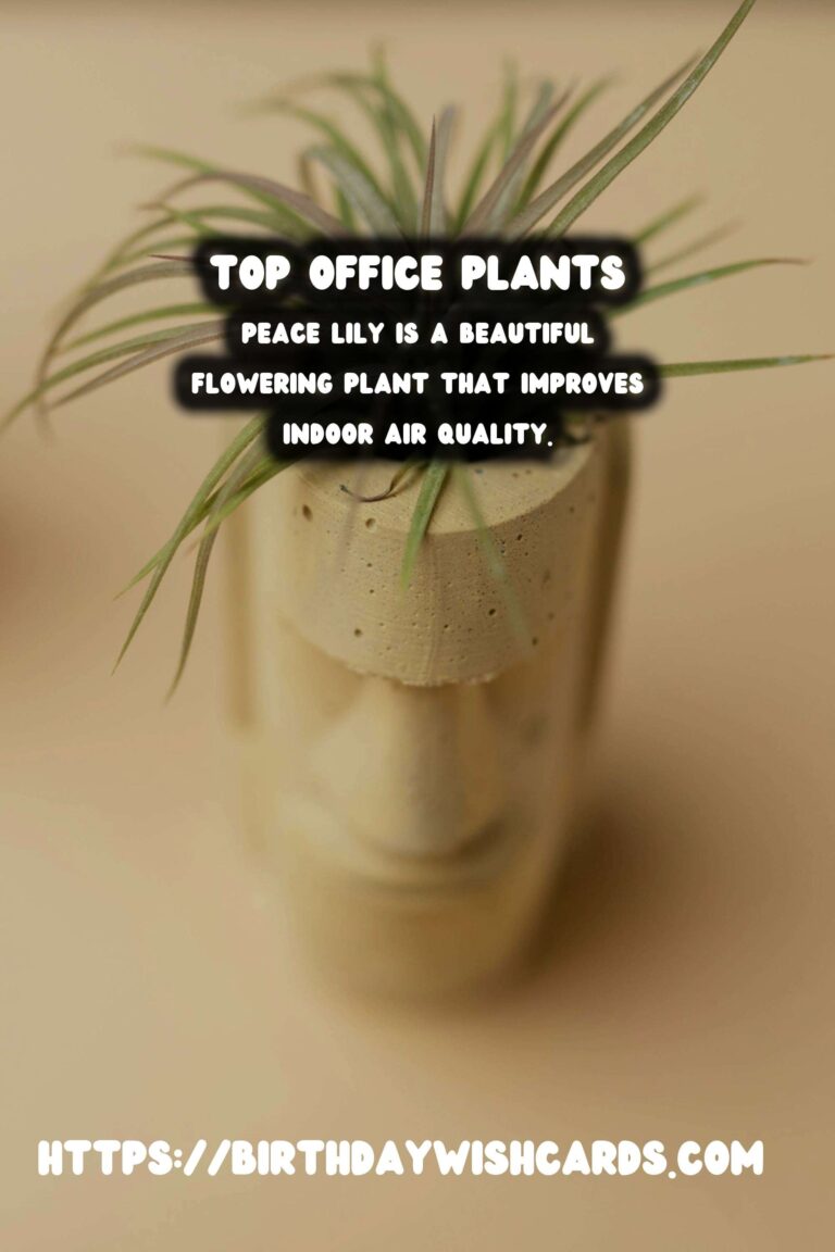 Best Plants for Low Light Offices: Transform Your Workspace