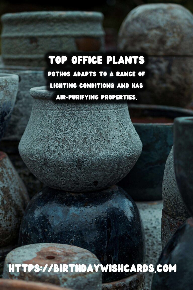 Best Plants for Low Light Offices: Transform Your Workspace