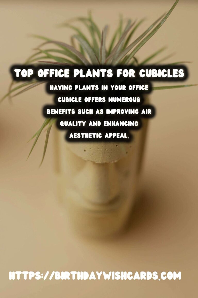 Best Plants for Office Cubicles: Enhance Your Workspace with Greenery