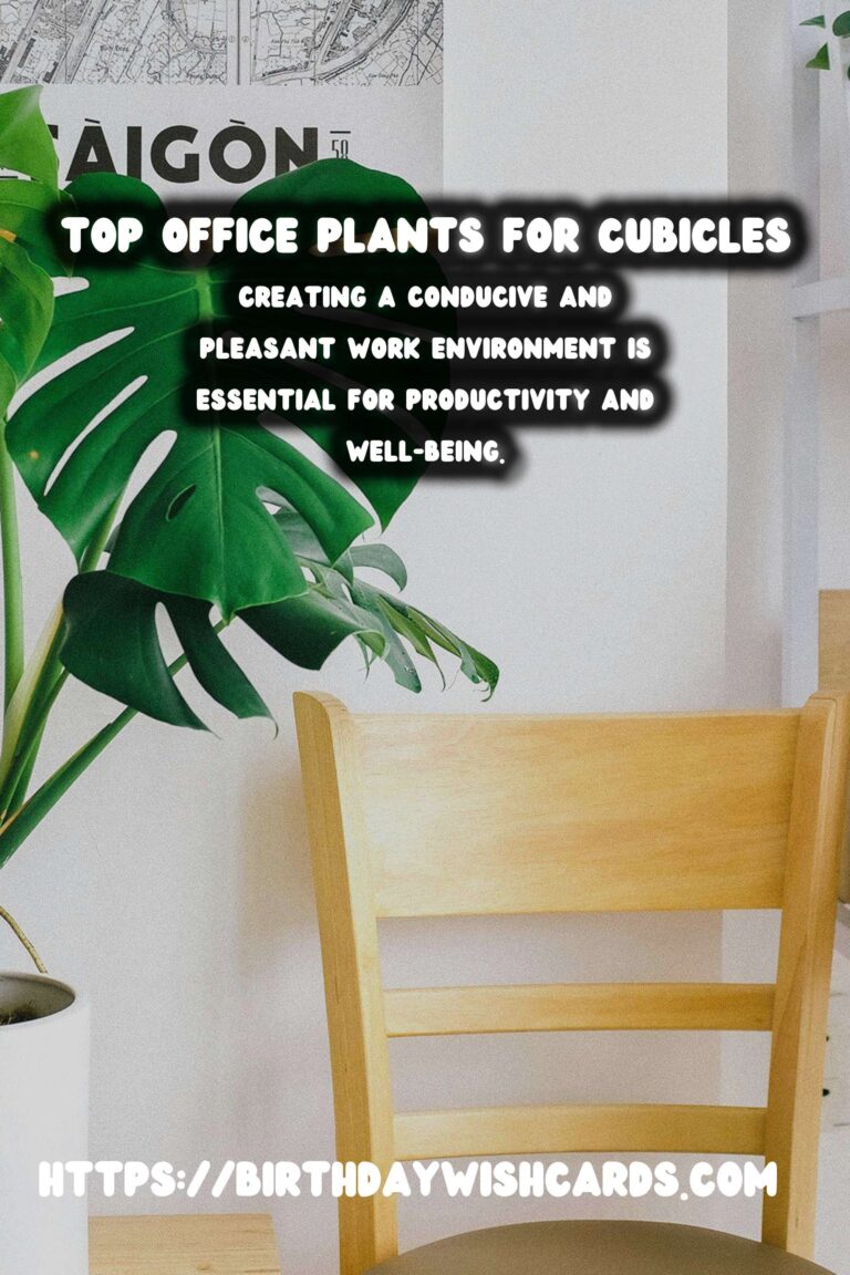 Best Plants for Office Cubicles: Enhance Your Workspace with Greenery