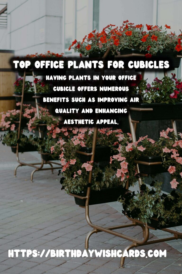 Best Plants for Office Cubicles: Enhance Your Workspace with Greenery