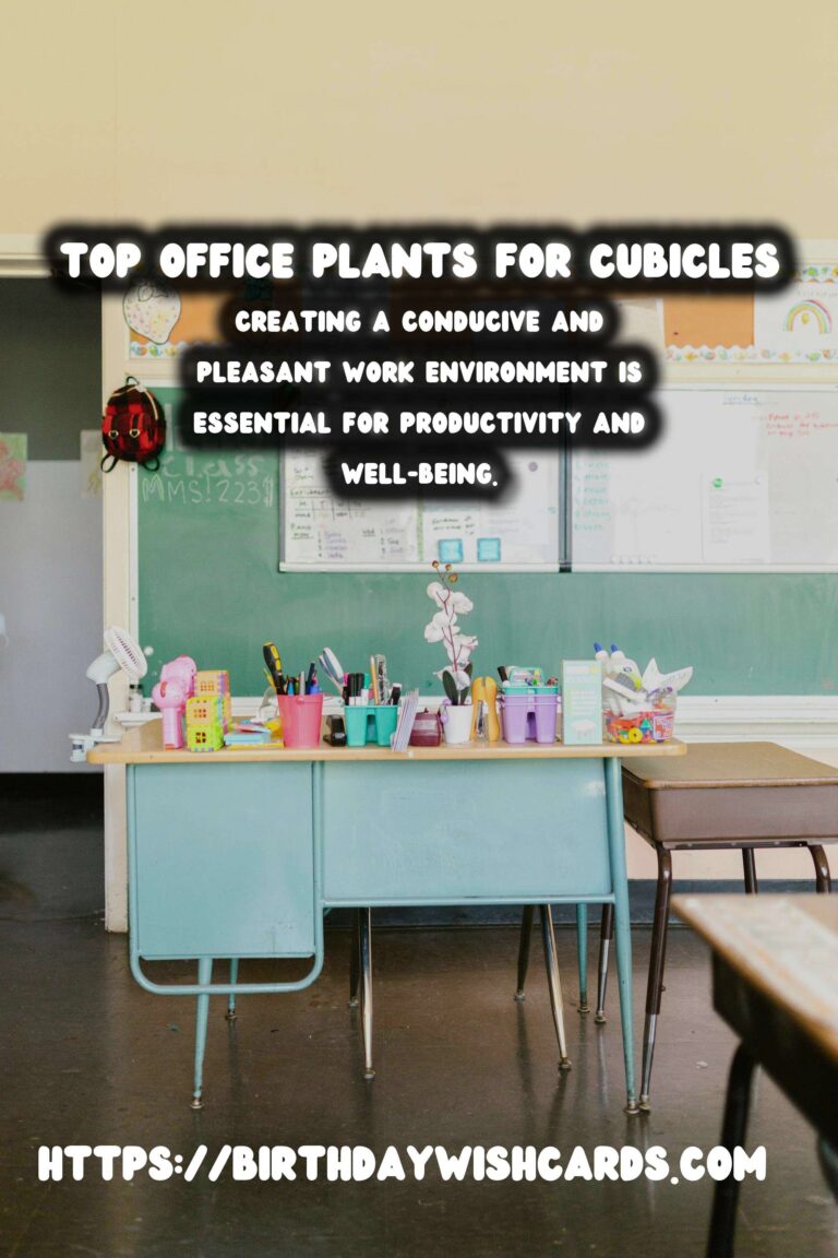 Best Plants for Office Cubicles: Enhance Your Workspace with Greenery