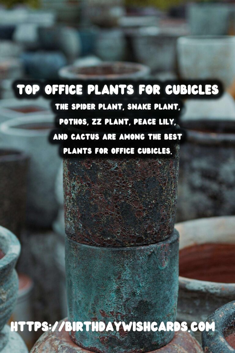 Best Plants for Office Cubicles: Enhance Your Workspace with Greenery