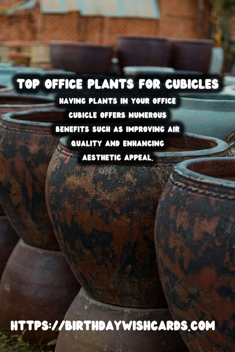 Best Plants for Office Cubicles: Enhance Your Workspace with Greenery