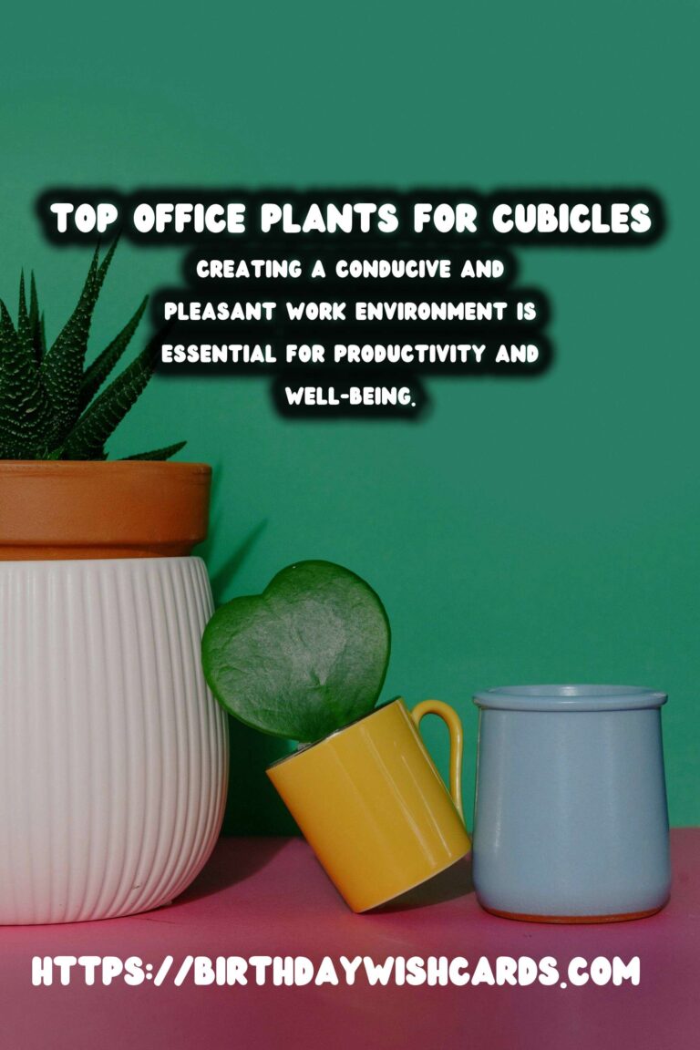 Best Plants for Office Cubicles: Enhance Your Workspace with Greenery