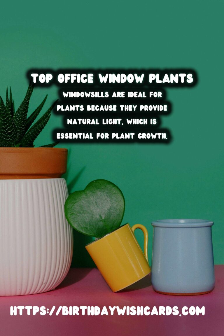 Best Plants for Office Windowsills to Brighten Your Workspace