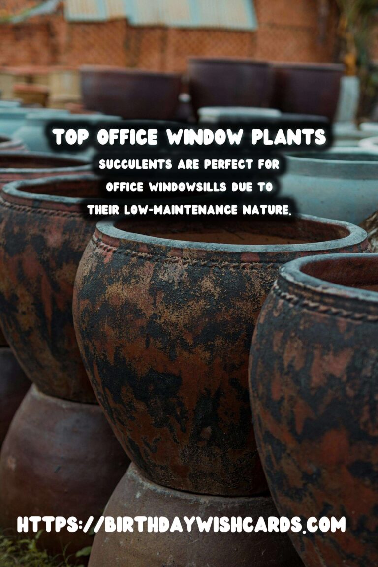 Best Plants for Office Windowsills to Brighten Your Workspace