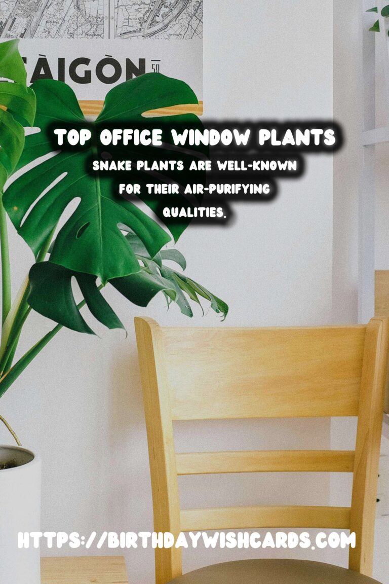 Best Plants for Office Windowsills to Brighten Your Workspace
