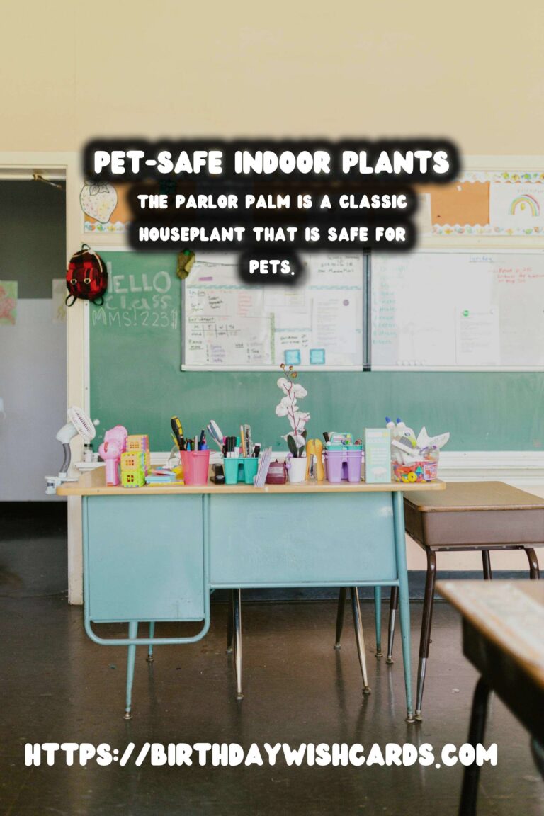 Best Plants for Pet-Friendly Homes: Safe and Beautiful Options