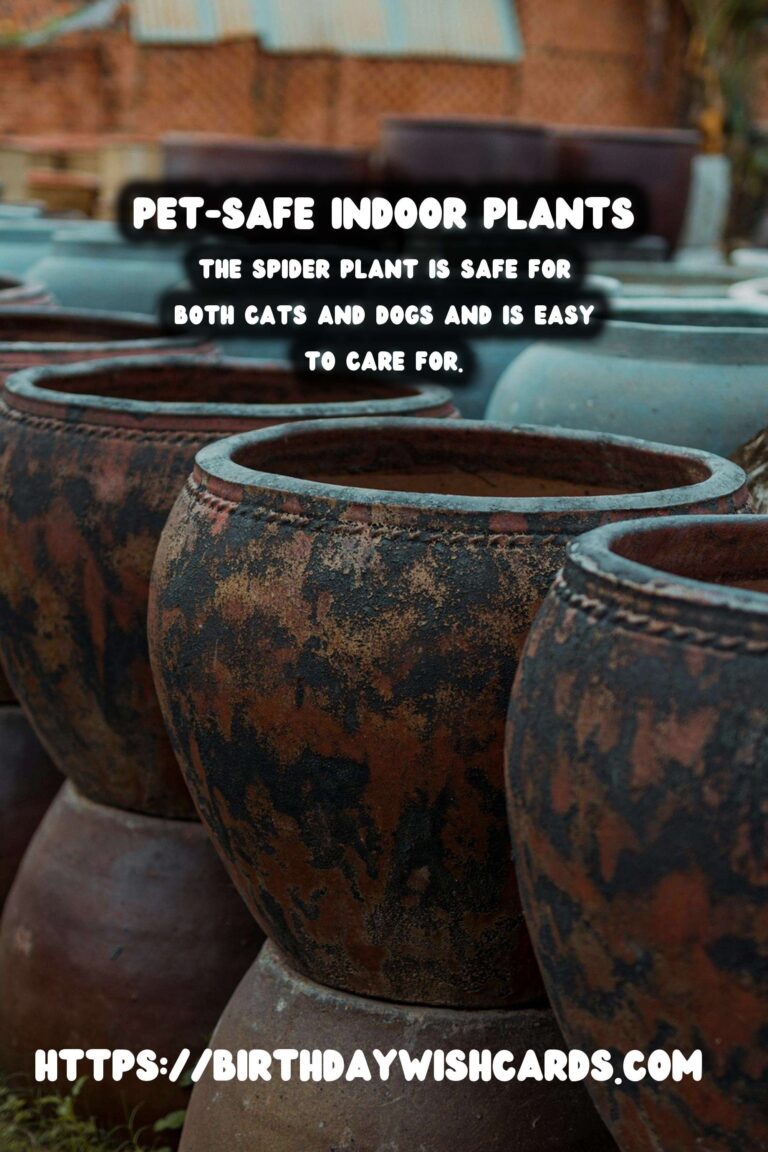 Best Plants for Pet-Friendly Homes: Safe and Beautiful Options