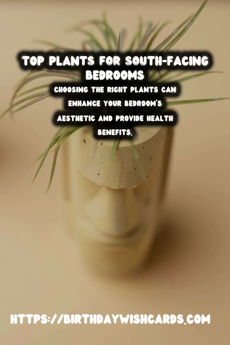 Best Plants for South-Facing Bedrooms: Enhance Your Space with Greenery