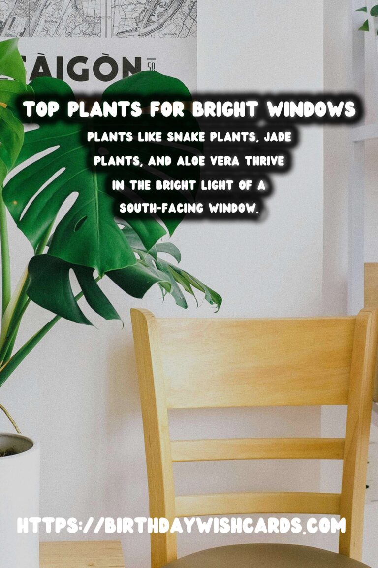 Best Plants for South-Facing Windows: Maximize Your Home’s Sunlight